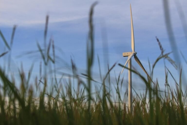 cloud solutions driving growth